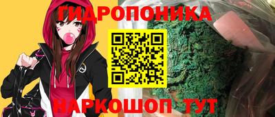 индика Славгород