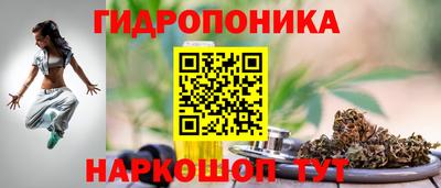молекула духа Сланцы