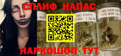 индика Славгород