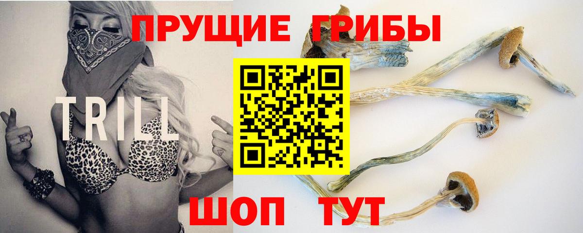 Галлюциногенные грибы мицелий Асбест